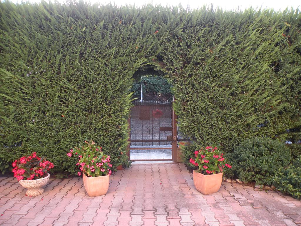 Casa Oriana Vila Rosolina Exterior foto
